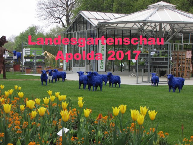 große Gartenschau Apolda 2017